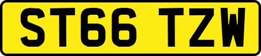 ST66TZW
