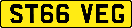 ST66VEG