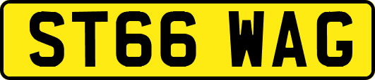 ST66WAG
