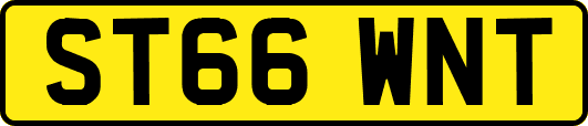 ST66WNT