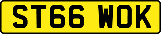 ST66WOK