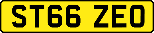 ST66ZEO
