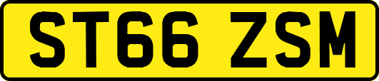 ST66ZSM