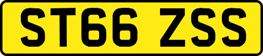 ST66ZSS