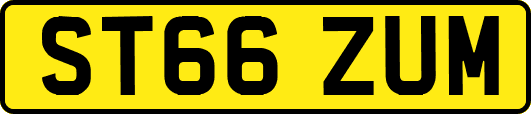 ST66ZUM