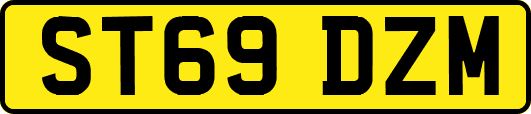 ST69DZM