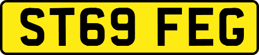 ST69FEG
