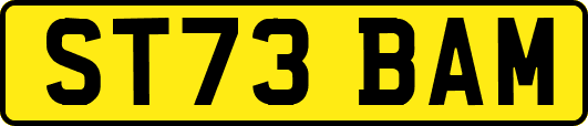 ST73BAM