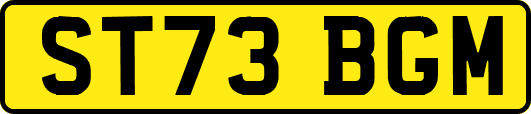 ST73BGM