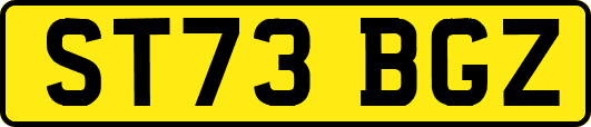 ST73BGZ