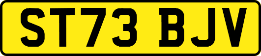ST73BJV