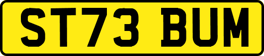 ST73BUM