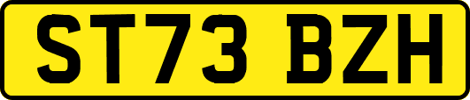 ST73BZH