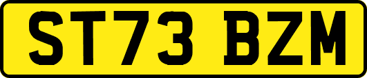 ST73BZM