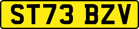 ST73BZV