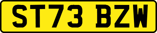 ST73BZW