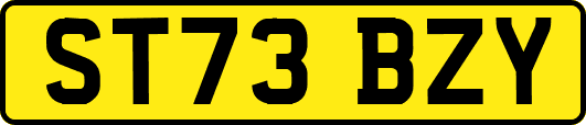 ST73BZY