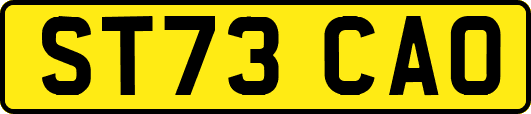 ST73CAO