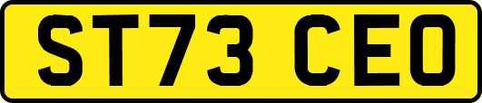 ST73CEO