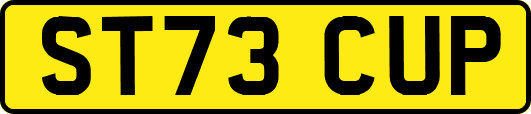 ST73CUP