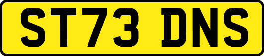 ST73DNS