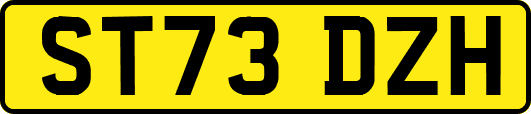 ST73DZH