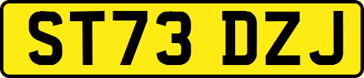 ST73DZJ