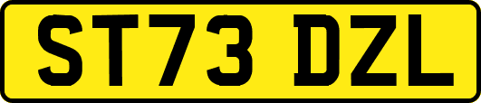 ST73DZL