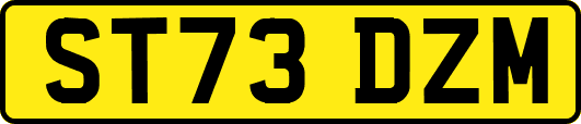 ST73DZM