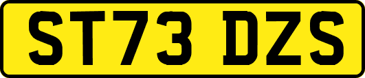 ST73DZS