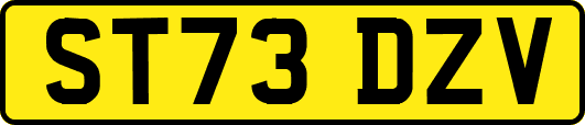 ST73DZV