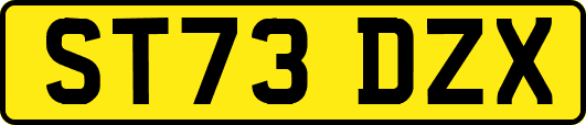ST73DZX