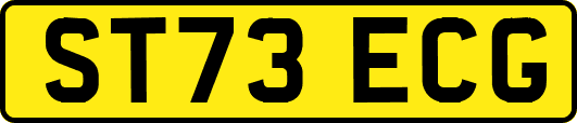 ST73ECG