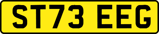 ST73EEG