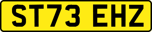 ST73EHZ