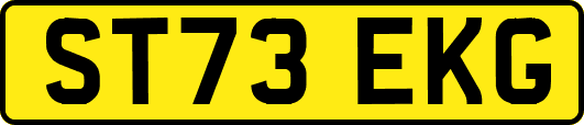 ST73EKG