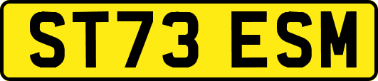ST73ESM