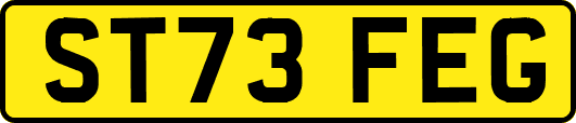 ST73FEG