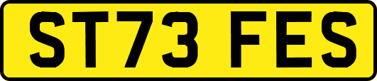 ST73FES