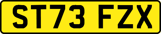 ST73FZX