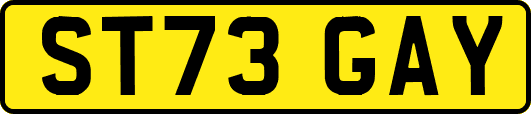 ST73GAY