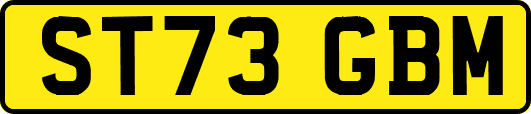 ST73GBM
