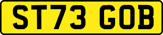 ST73GOB