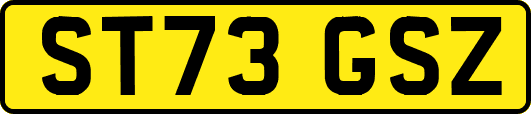 ST73GSZ