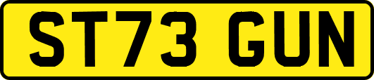 ST73GUN