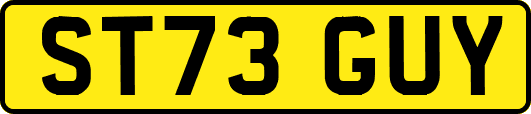 ST73GUY