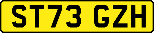 ST73GZH