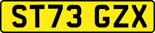 ST73GZX