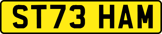 ST73HAM