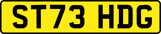 ST73HDG